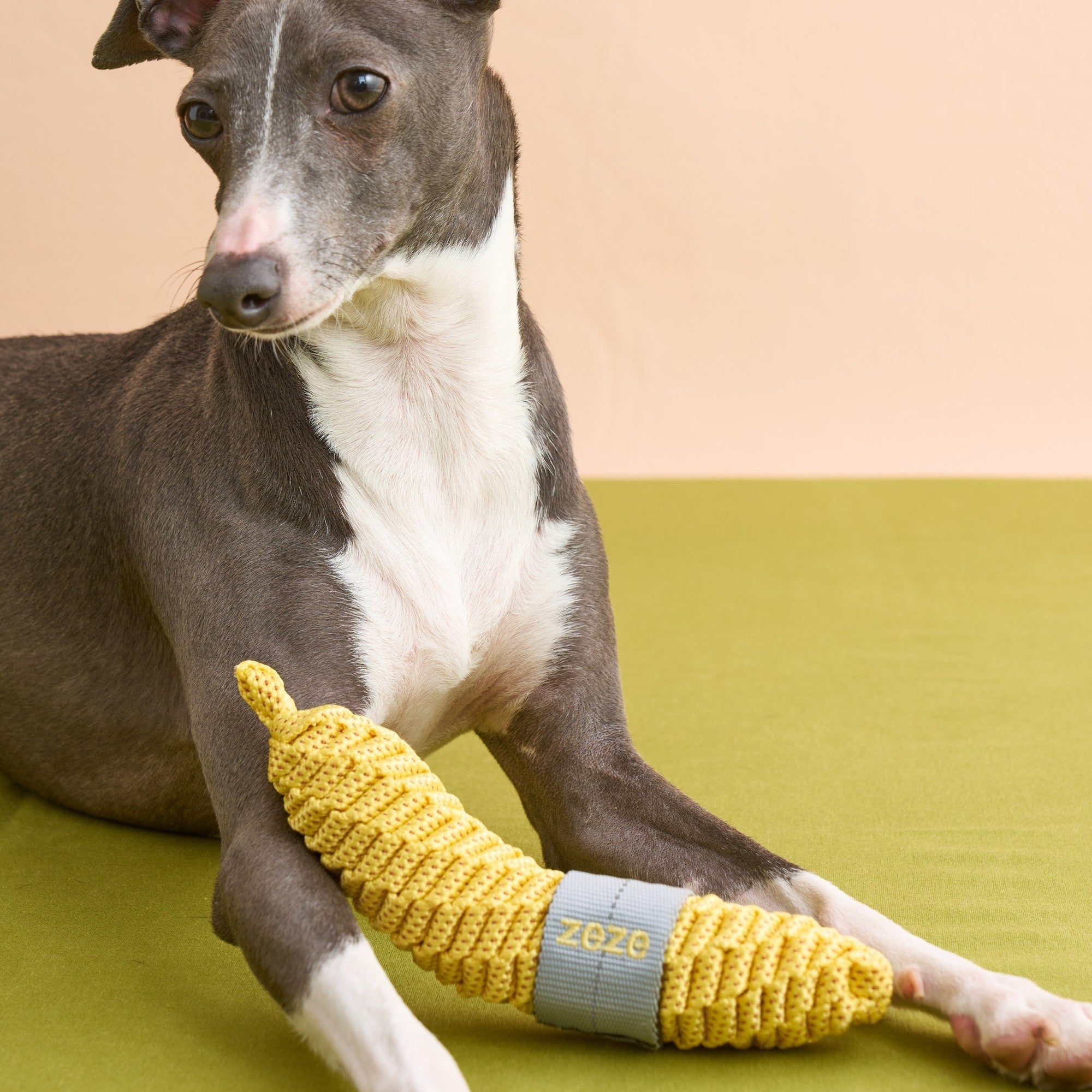 ZEZE Fruit & Veggie Rope Toy - Spotty Banana
