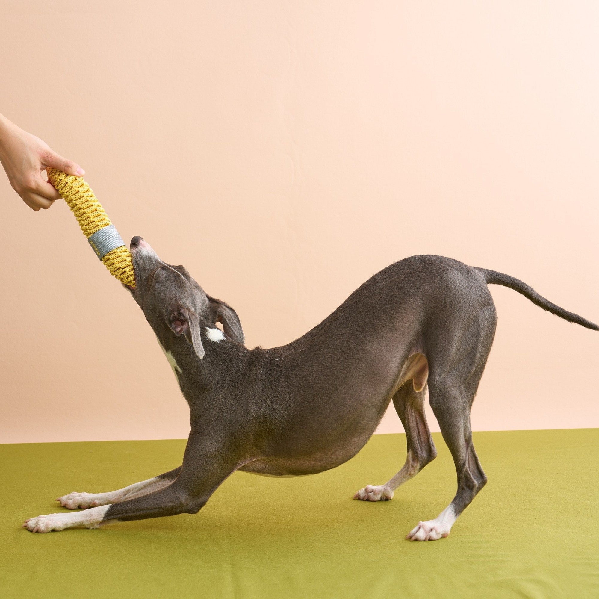ZEZE Fruit & Veggie Rope Toy - Spotty Banana