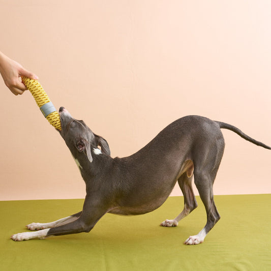 ZEZE Fruit & Veggie Rope Toy - Spotty Banana