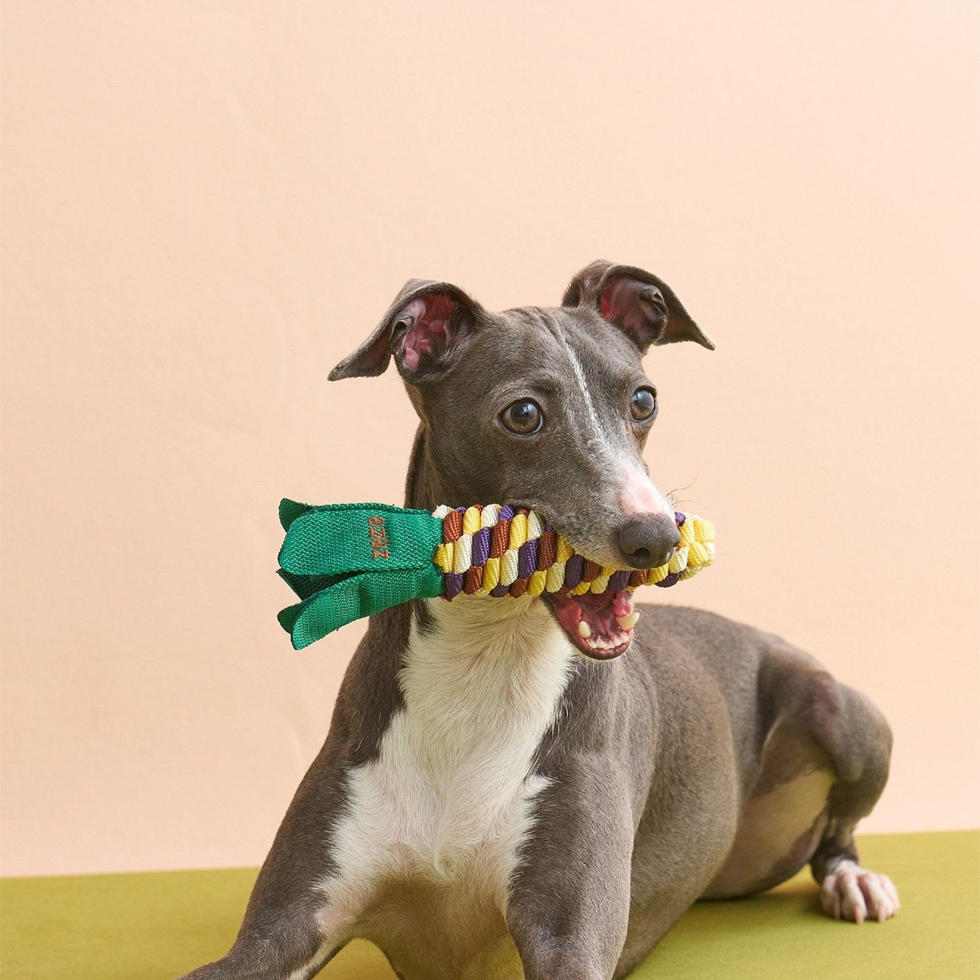 ZEZE Fruit & Veggie Rope Toy - Rainbow Corn