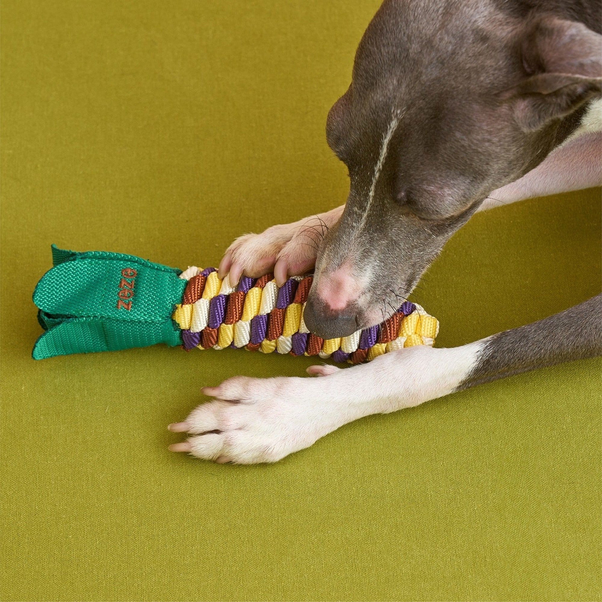 ZEZE Fruit & Veggie Rope Toy - Rainbow Corn