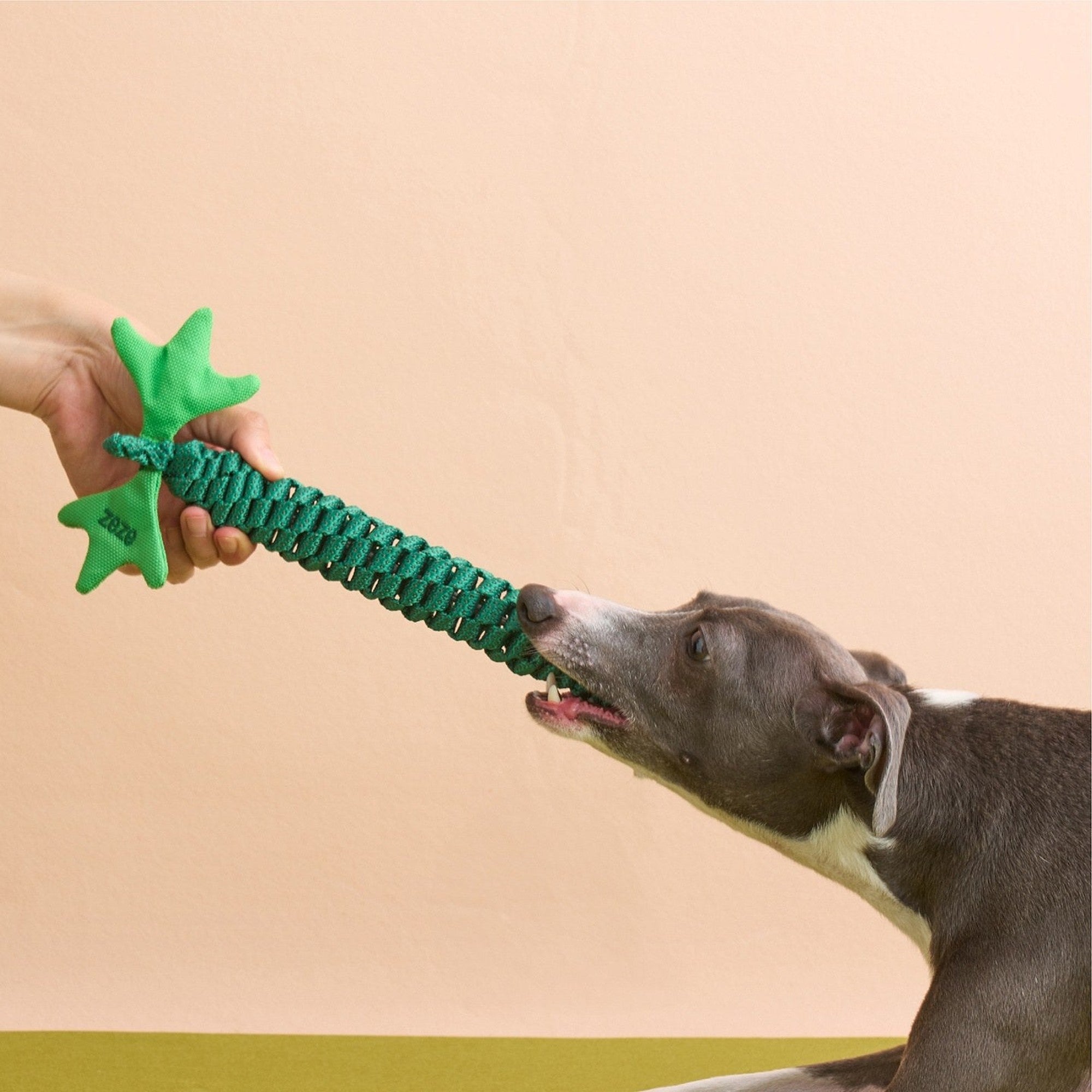 ZEZE Fruit & Veggie Rope Toy - Cucumber