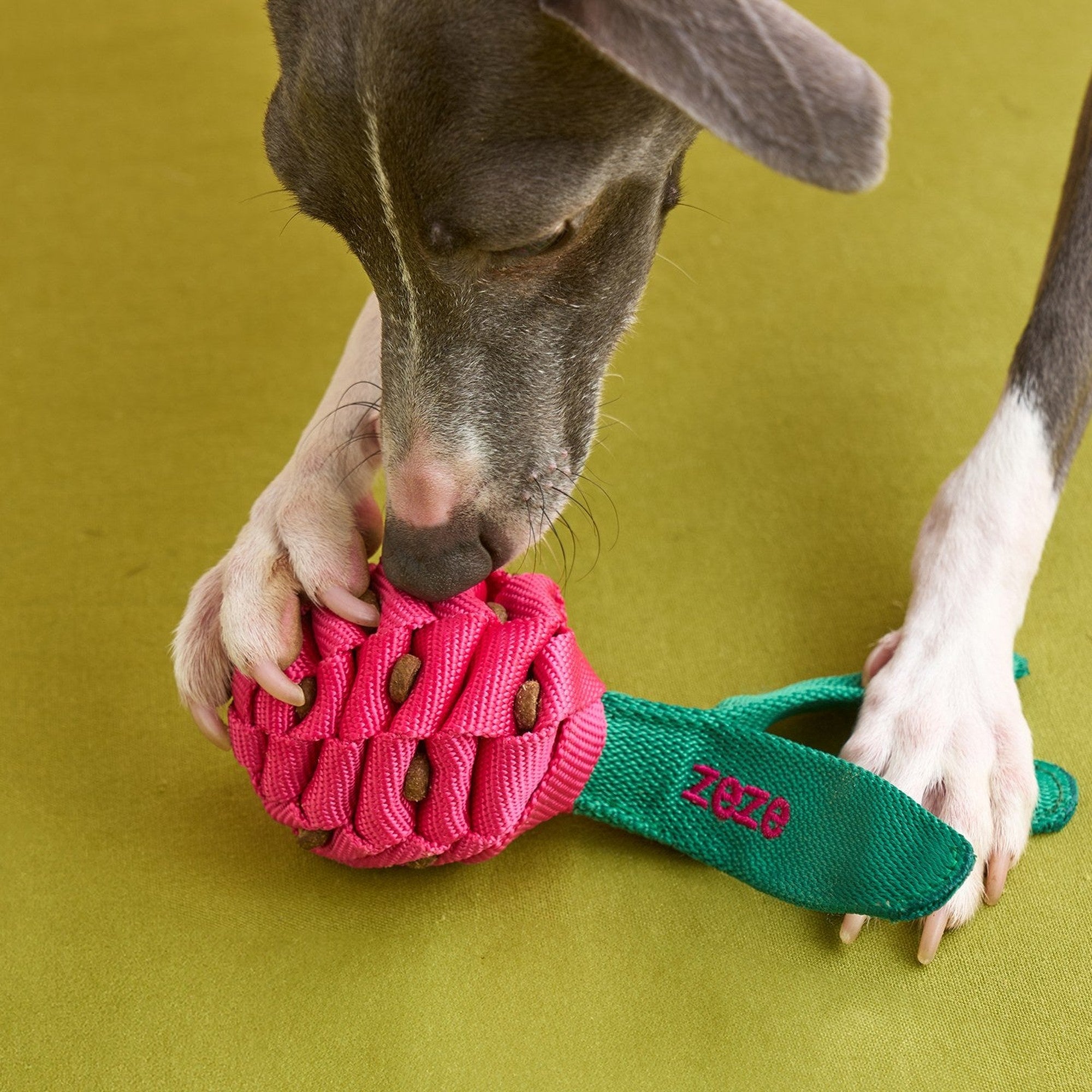 ZEZE Fruit & Veggie Rope Toy - Dragon Fruit