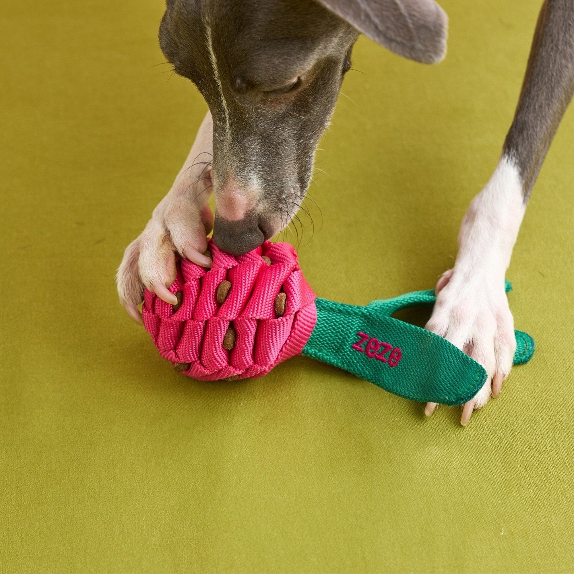ZEZE Fruit & Veggie Rope Toy - Dragon Fruit