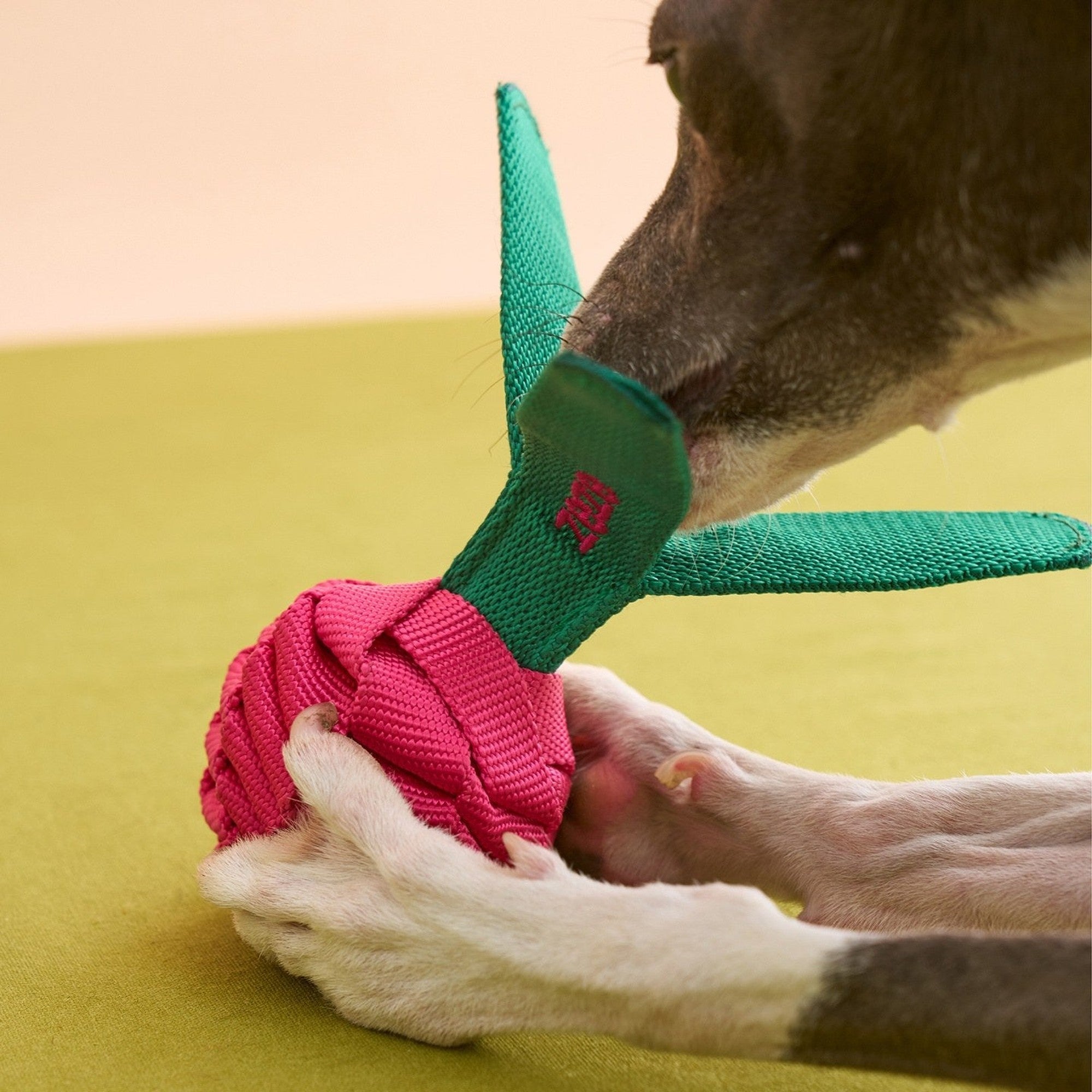 ZEZE Fruit & Veggie Rope Toy - Dragon Fruit