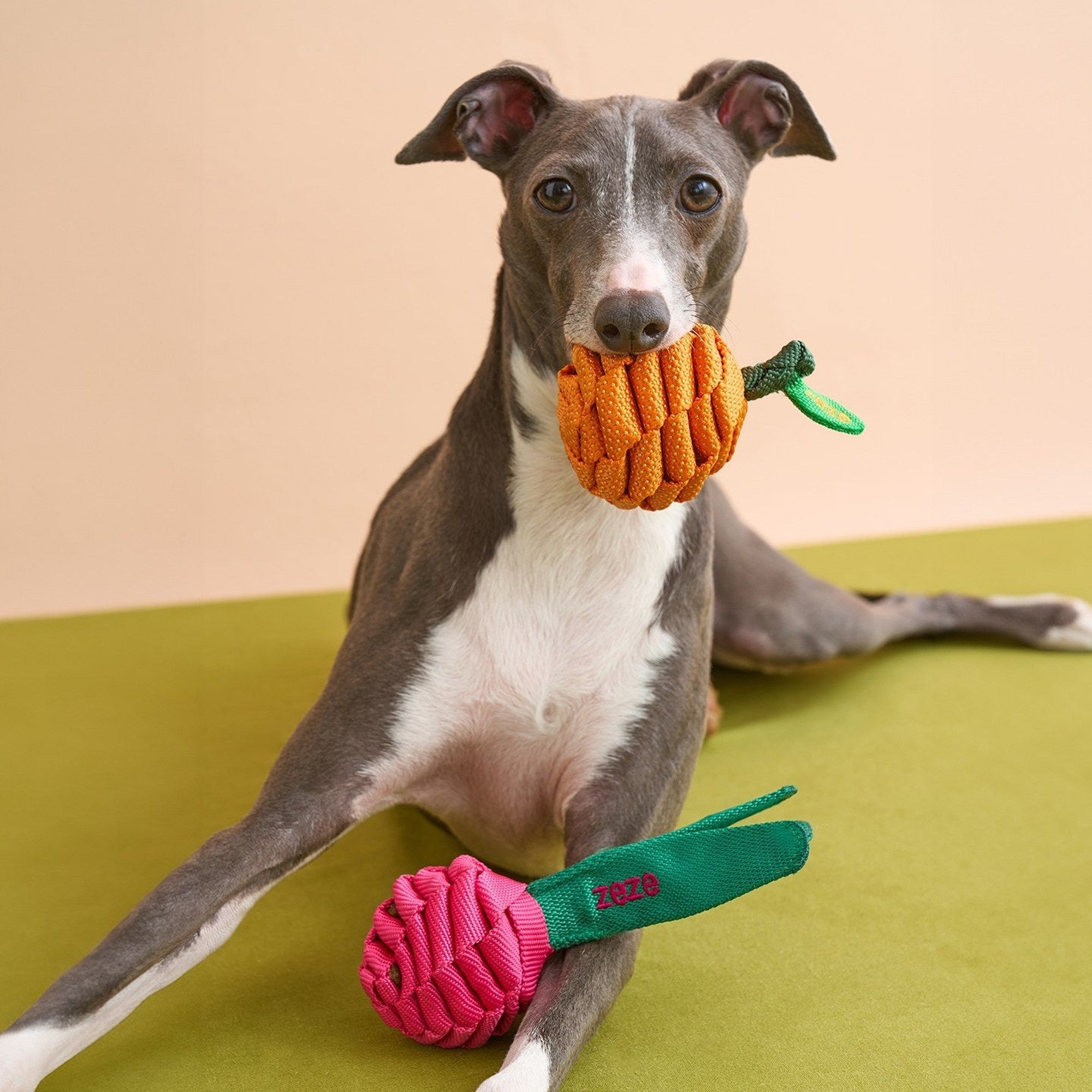 ZEZE Fruit & Veggie Rope Toy - Dragon Fruit