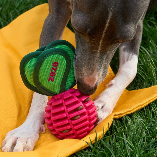 ZEZE Garden Radish Chew Toy - Little Radish (Squeaky)