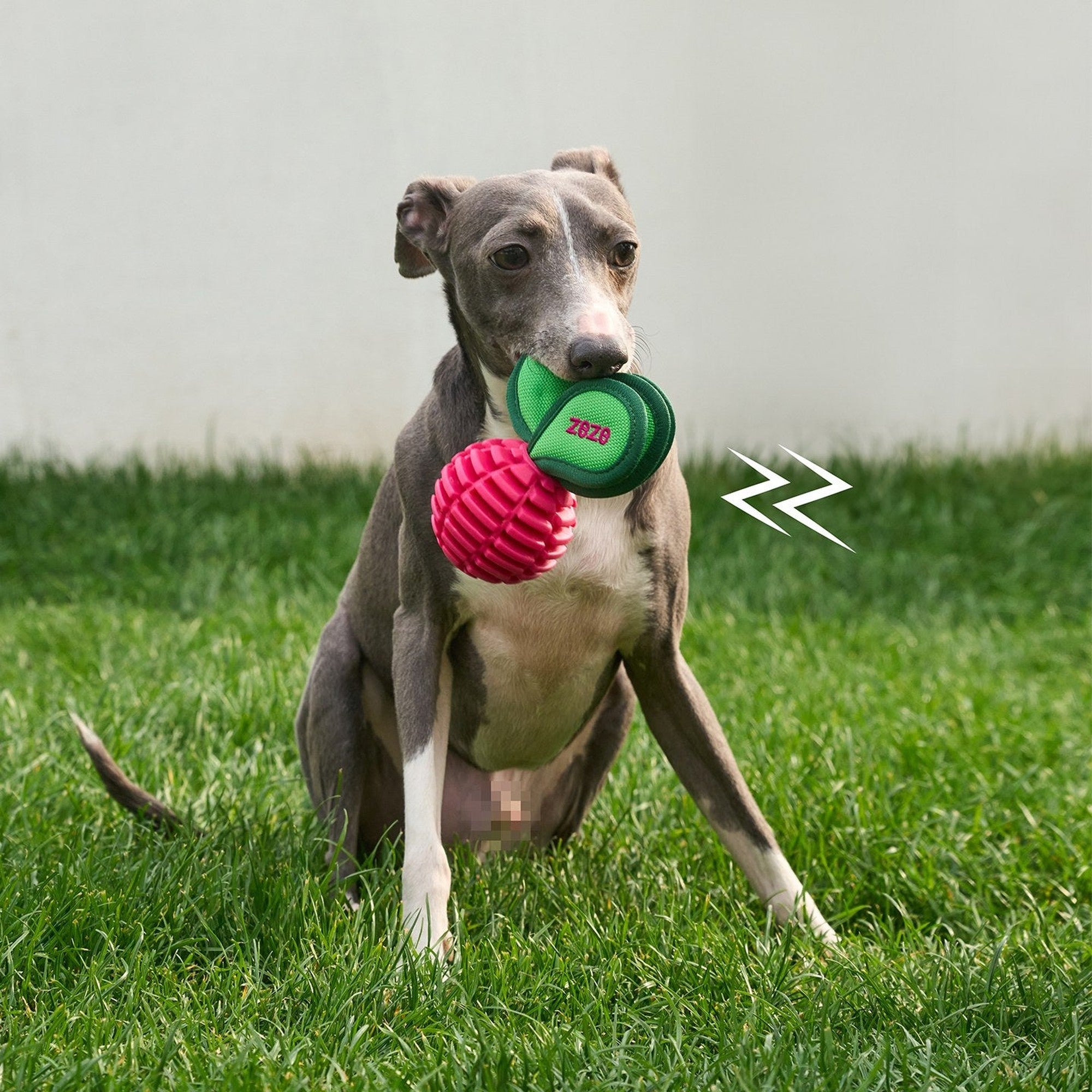 ZEZE Garden Radish Chew Toy - Little Radish (Squeaky)