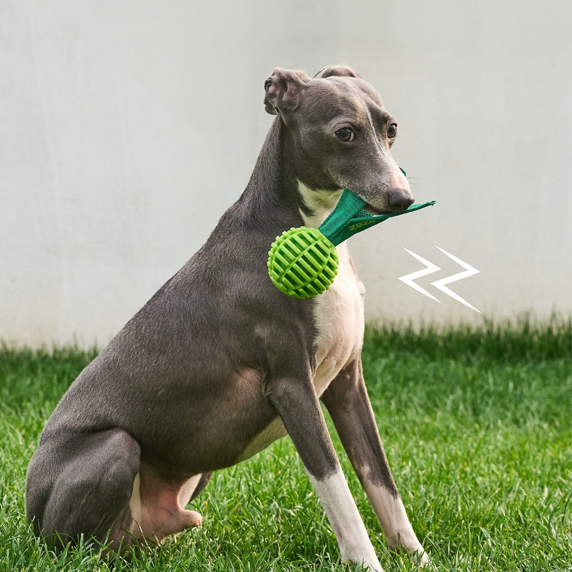 ZEZE Garden Radish Chew Toy - Lucky Radish (Crinkle)