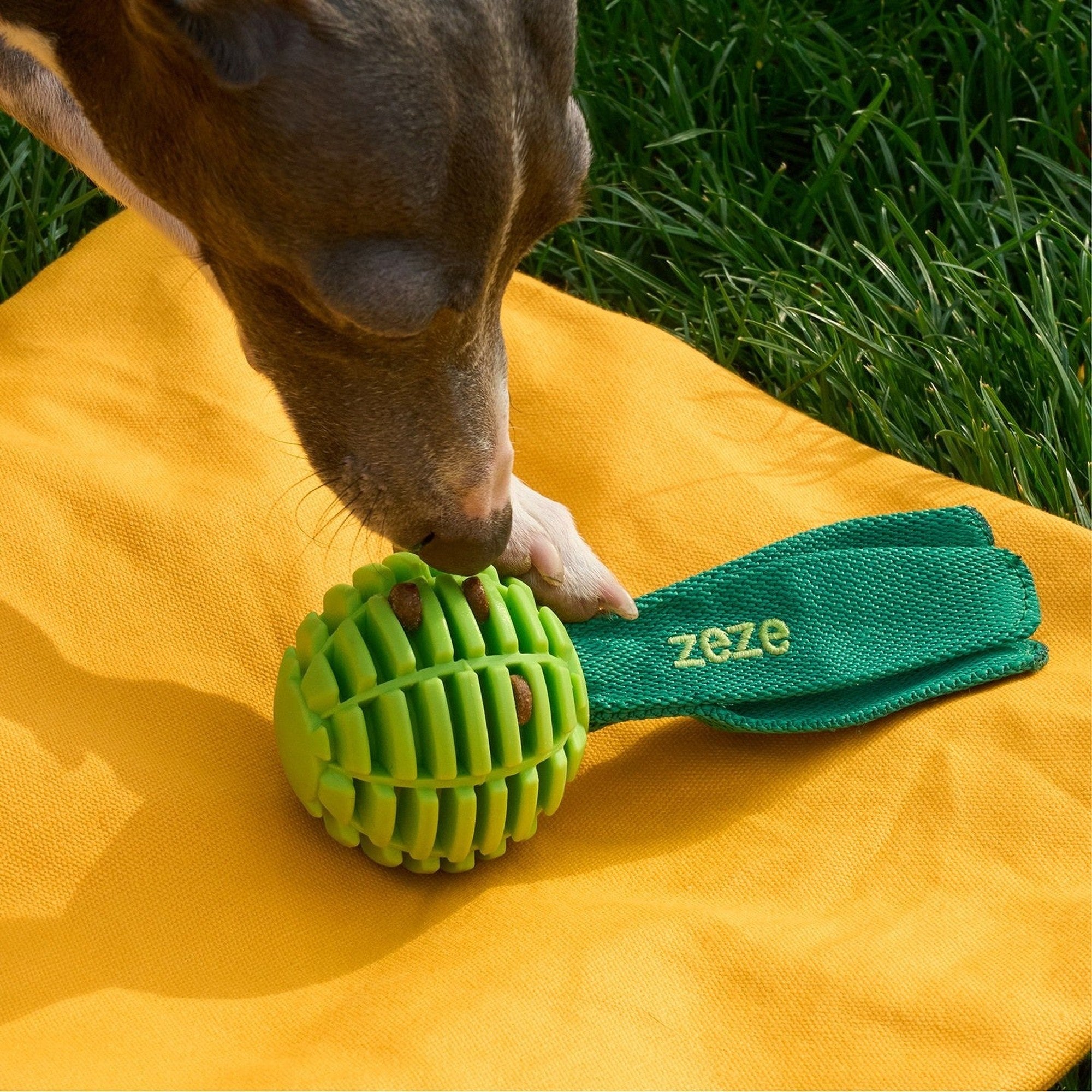 ZEZE Garden Radish Chew Toy - Lucky Radish (Crinkle)