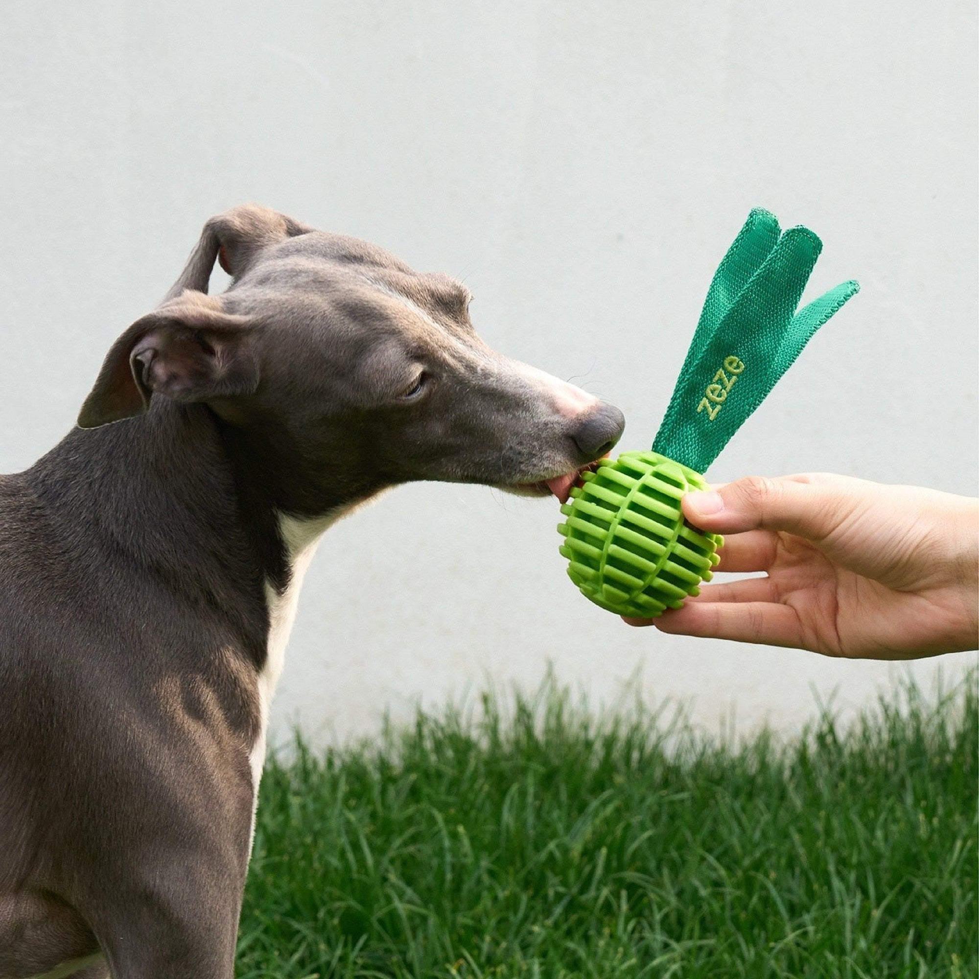 ZEZE Garden Radish Chew Toy - Lucky Radish (Crinkle)