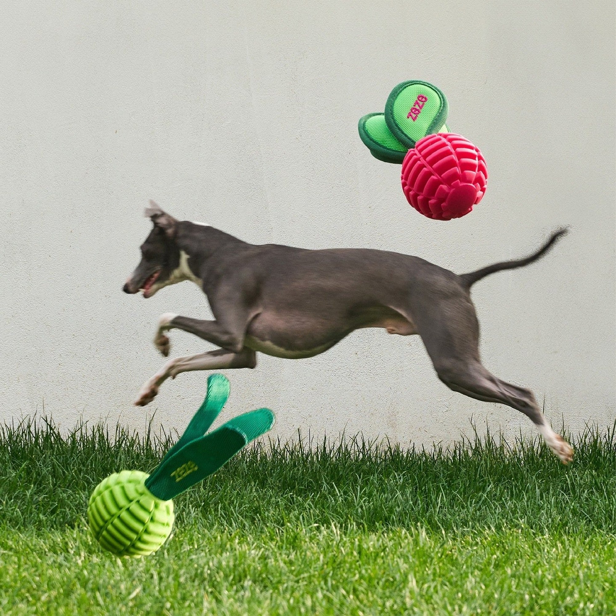ZEZE Garden Radish Chew Toy - Lucky Radish (Crinkle)