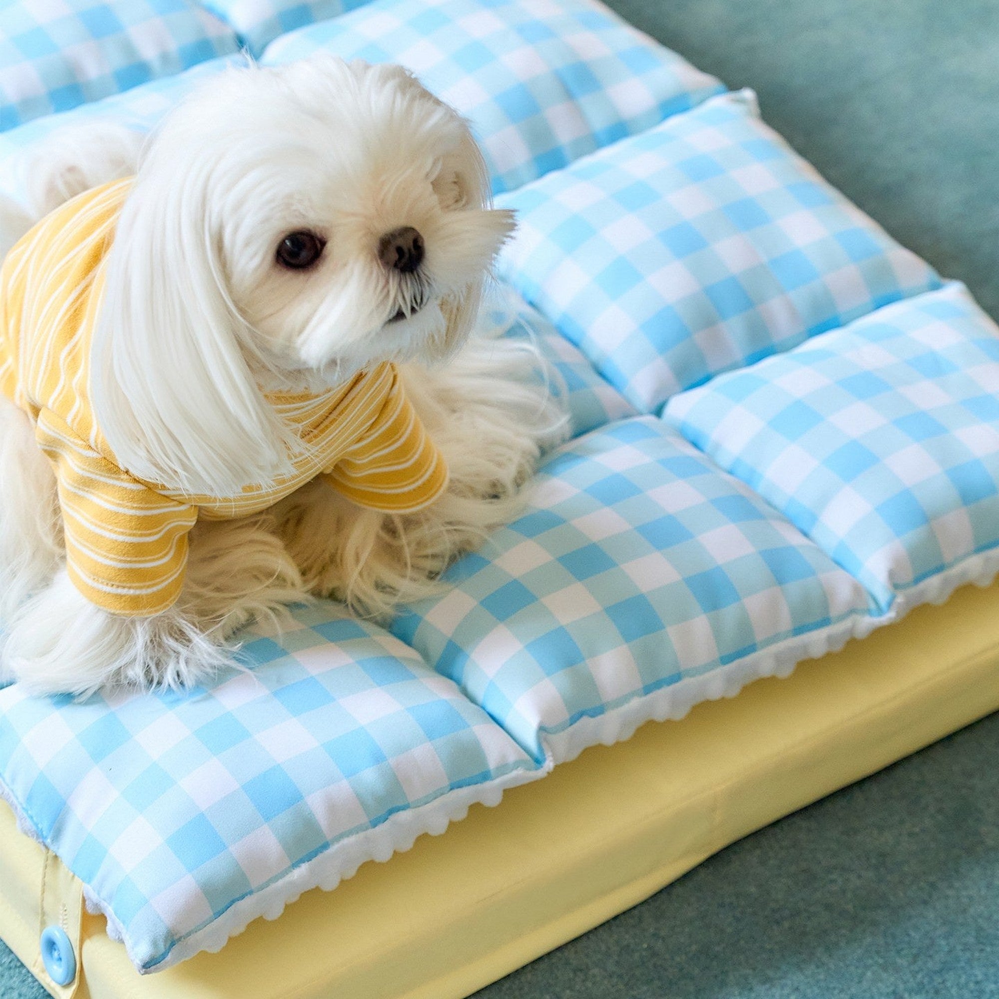 Maltese sitting on the quilted gingham mat top