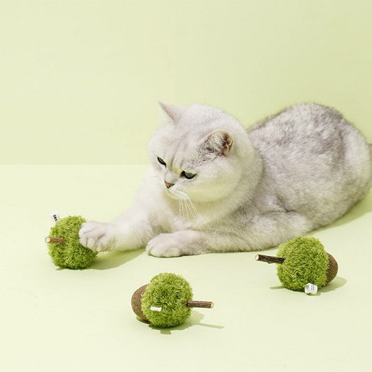 White cat pawing the ZEZE Green Acorn catnip cat toys