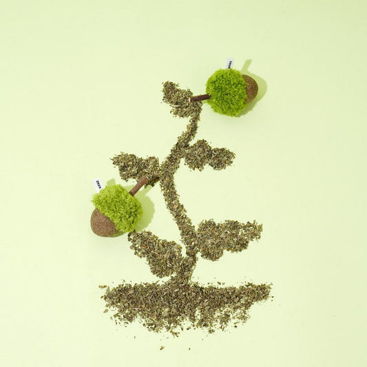Acorn cat toys on a tree drawn in loose catnip