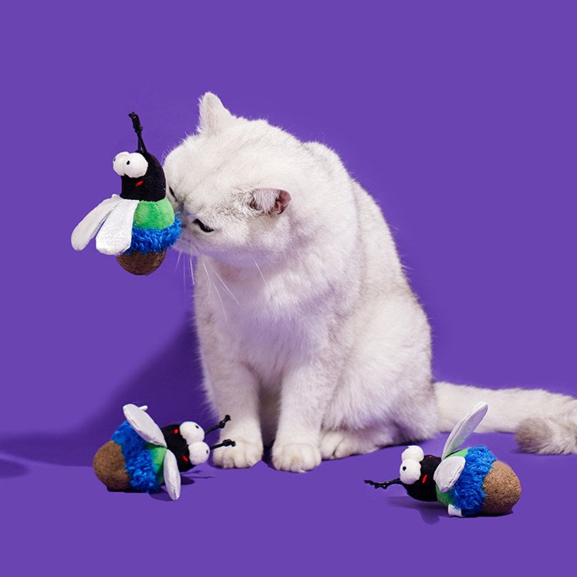 White cat sitting with three Green Fly cat toys