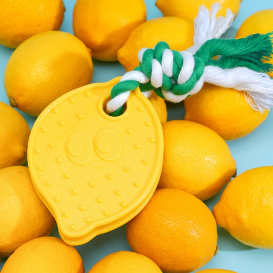 Lemon chew toy resting on a pile of fresh lemons