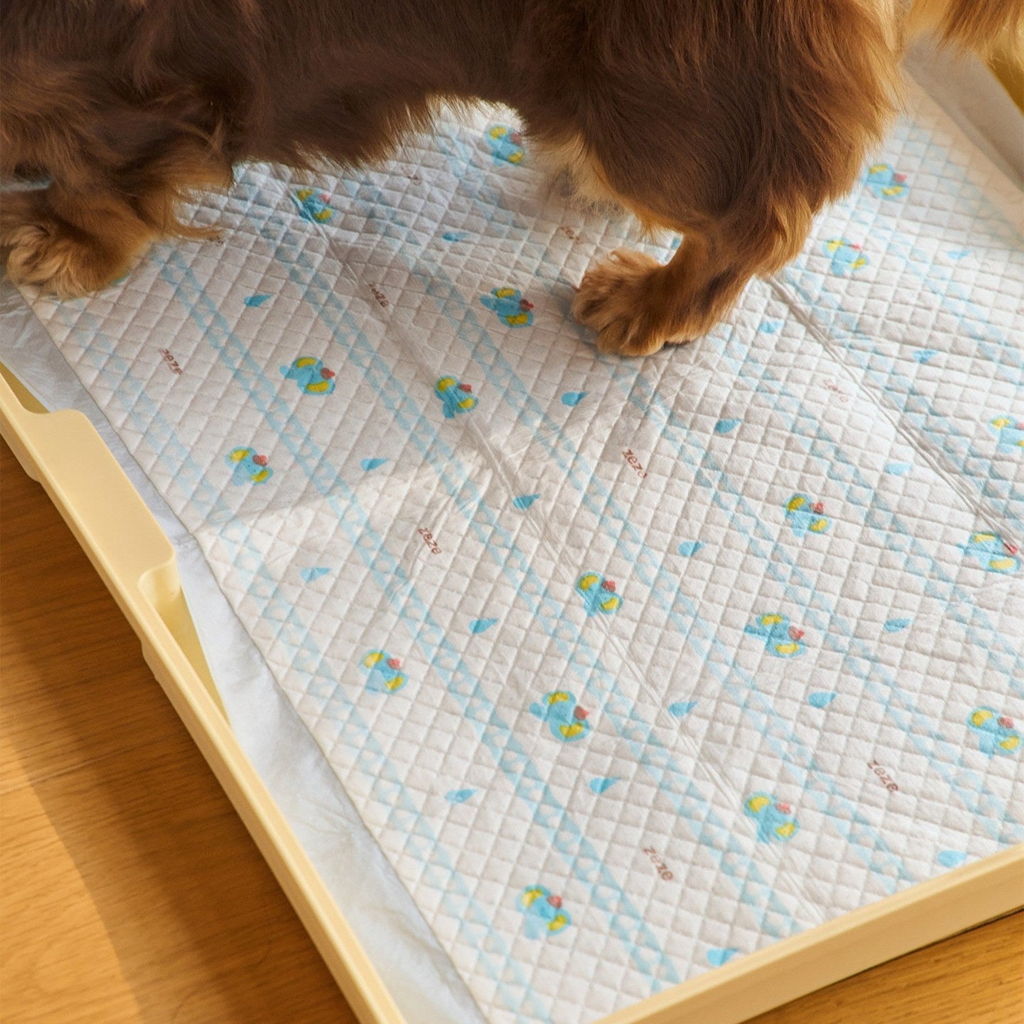 Dachshund standing on a ZEZE Little Elephant pee pad in a tray