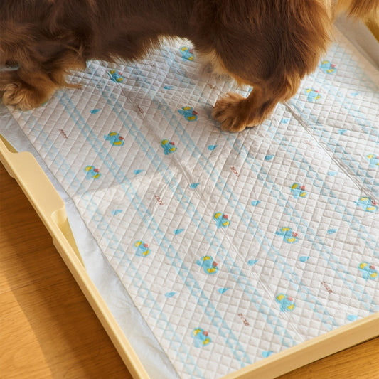 Dachshund standing on a ZEZE Little Elephant pee pad in a tray