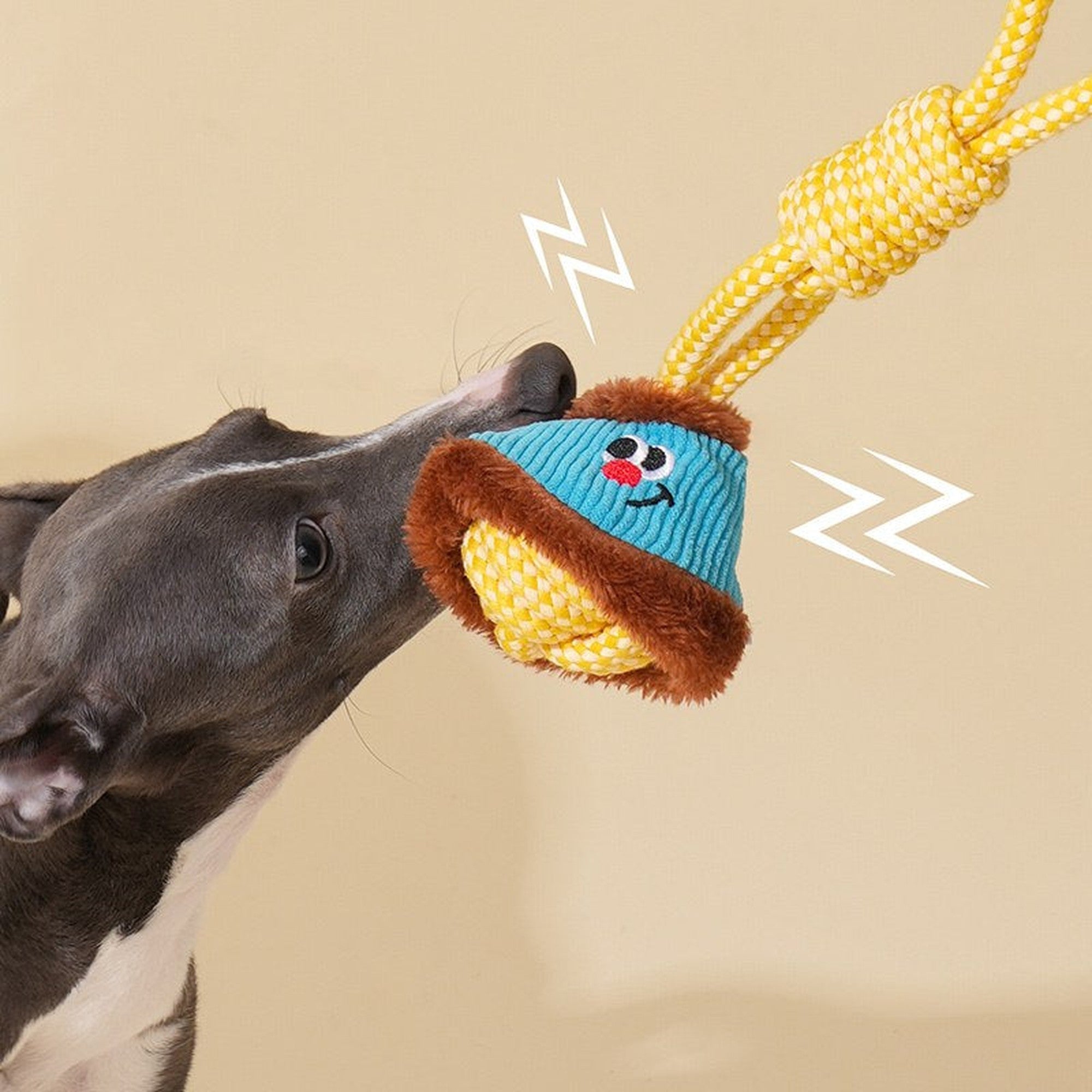 ZEZE Little Lantern Rope Dog Toy - Blue & Yellow