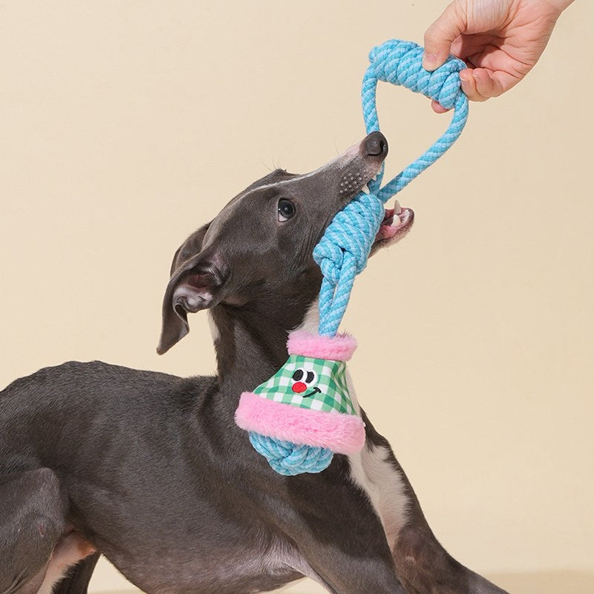 ZEZE Little Lantern Rope Dog Toy - Pink & Green