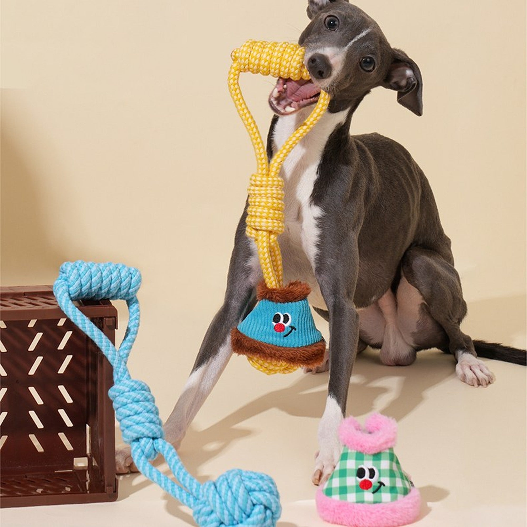 ZEZE Little Lantern Rope Dog Toy - Pink & Green