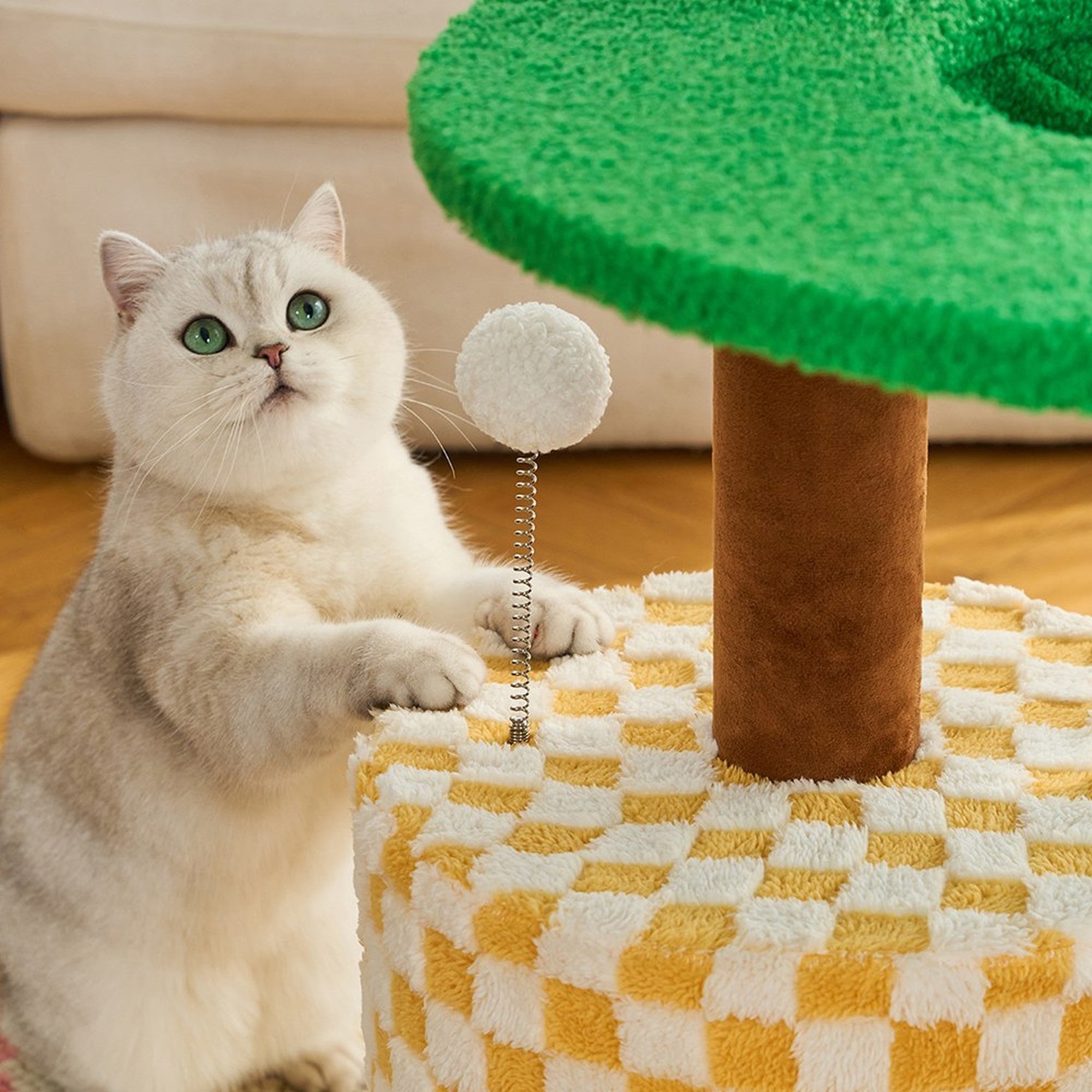 Cat reaching for the springy ball beside the checkered condo