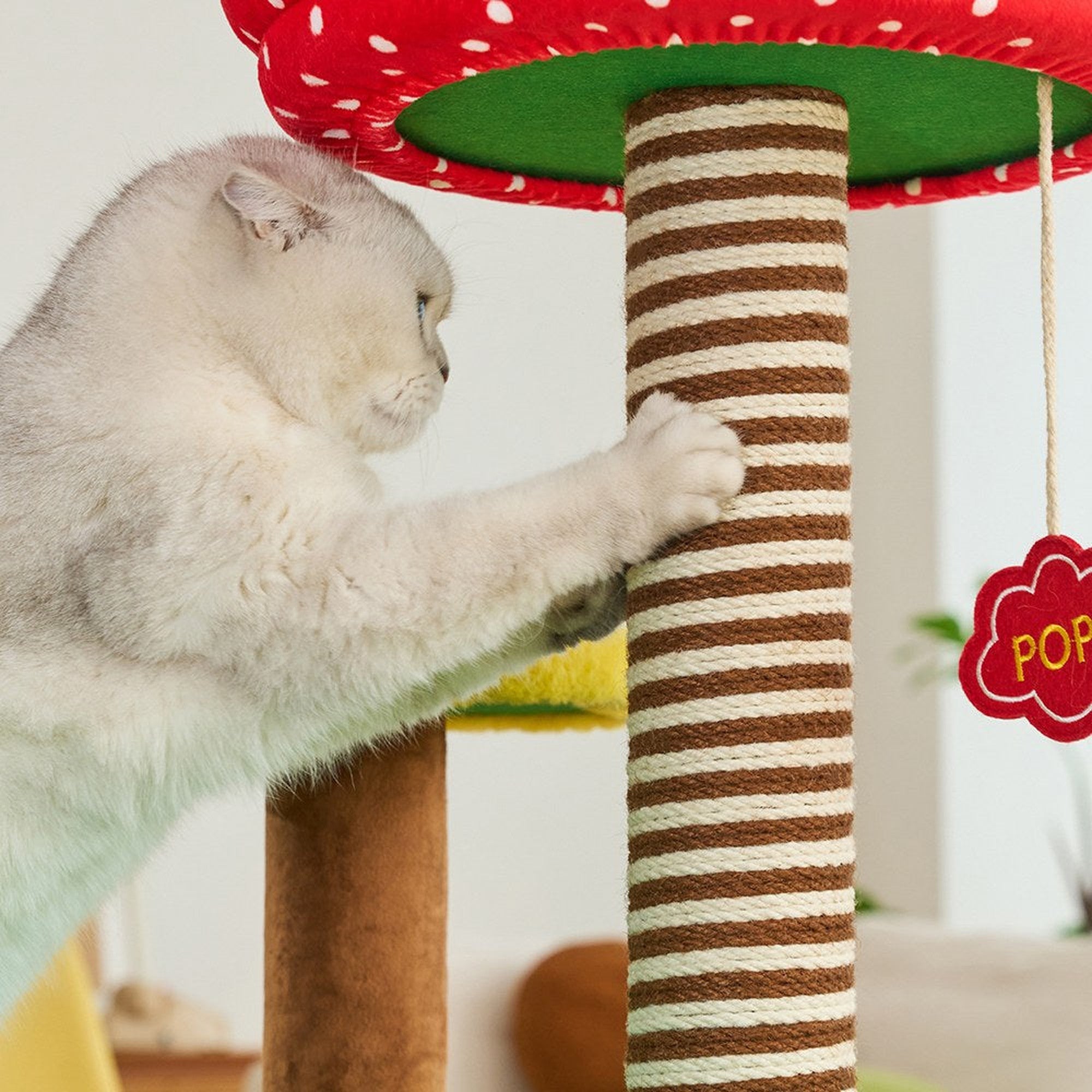 Cat scratching the rope-wrapped post