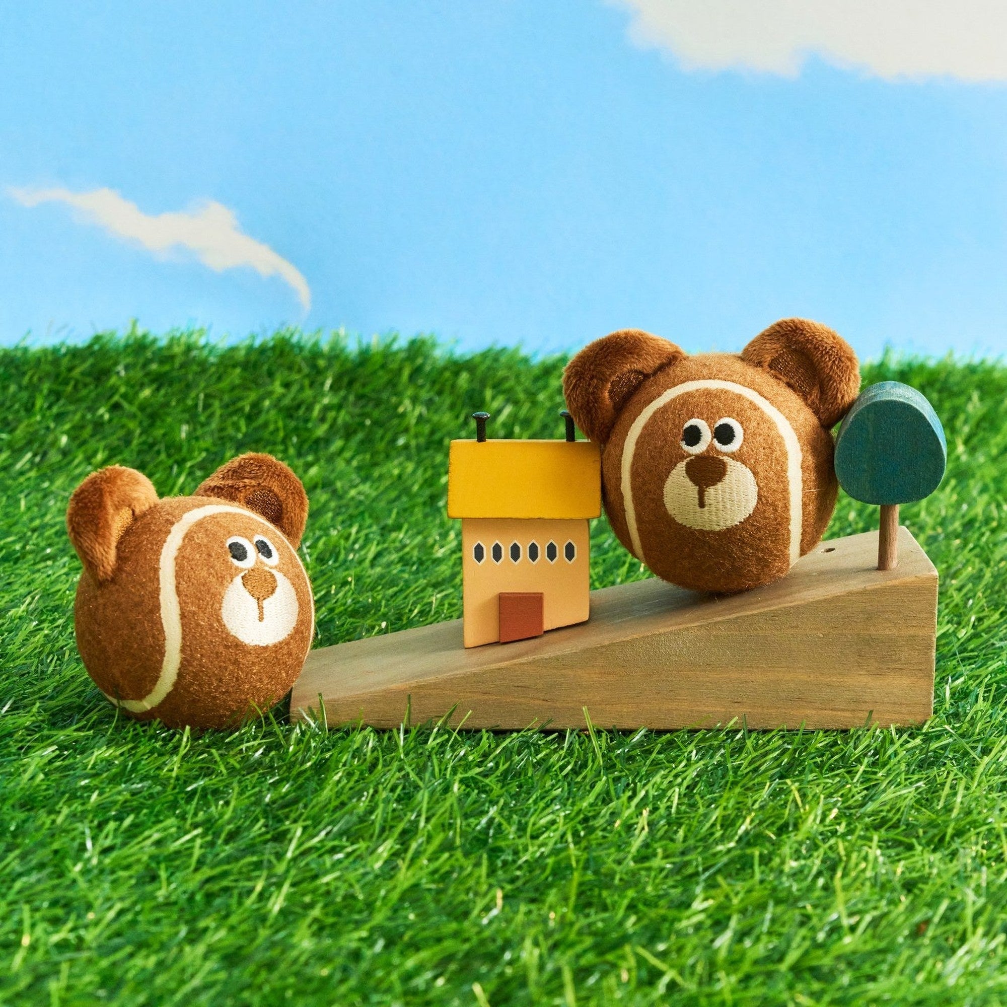 Mocha the Bear balls on a wooden ramp