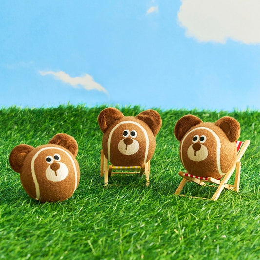 Mocha the Bear balls sitting in mini deck chairs