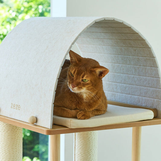 Cat resting under the gray felt arch bed at the top