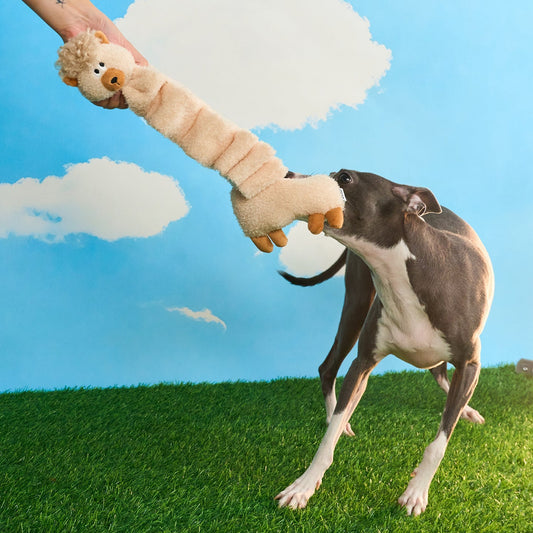 ZEZE Parker the Alpaca snuffle dog toy with dog