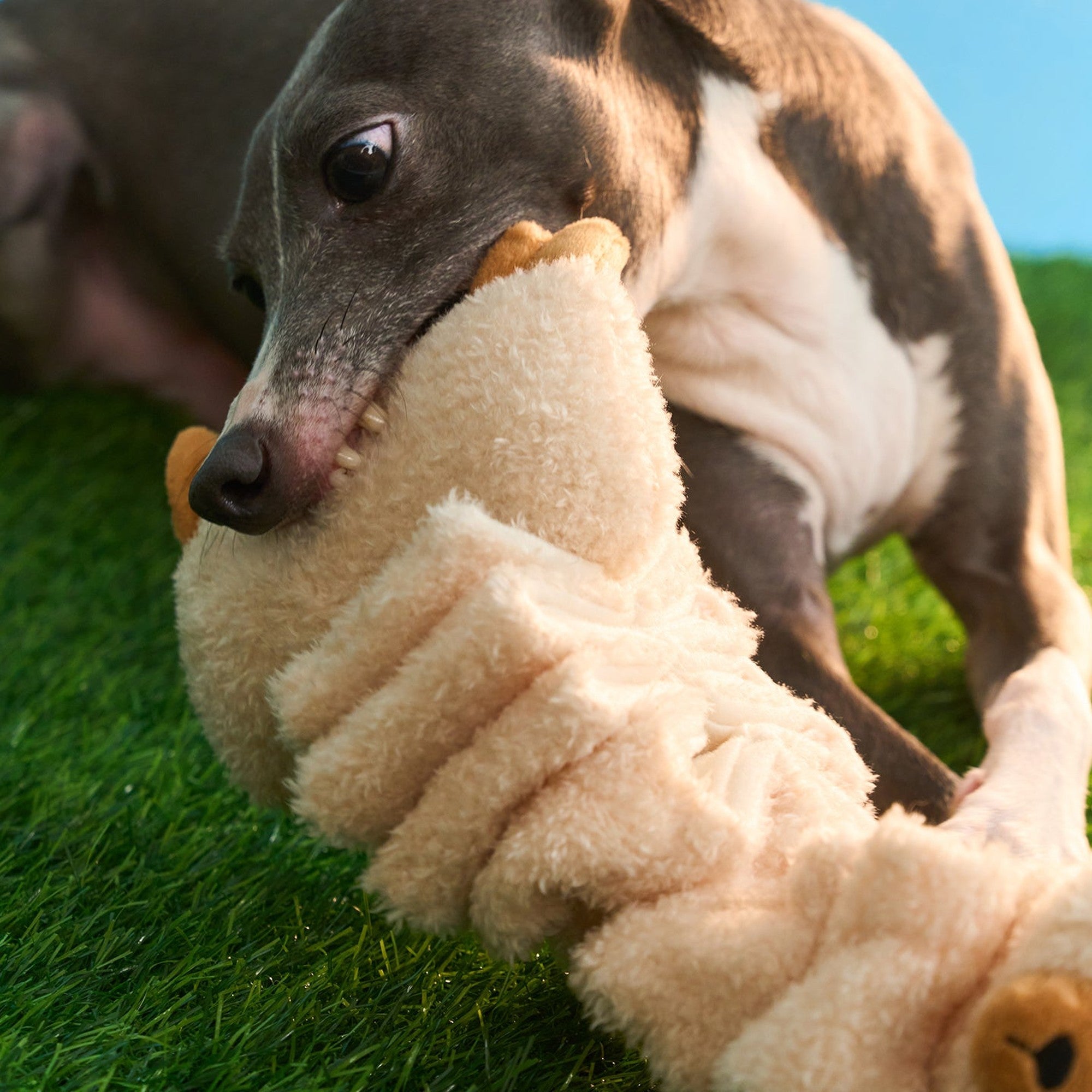 ZEZE Parker the Alpaca snuffle dog toy with dog