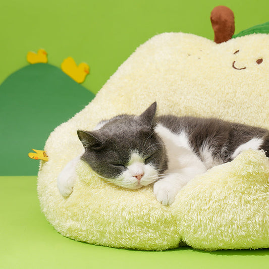 ZEZE pear shaped pet sofa bed with cat