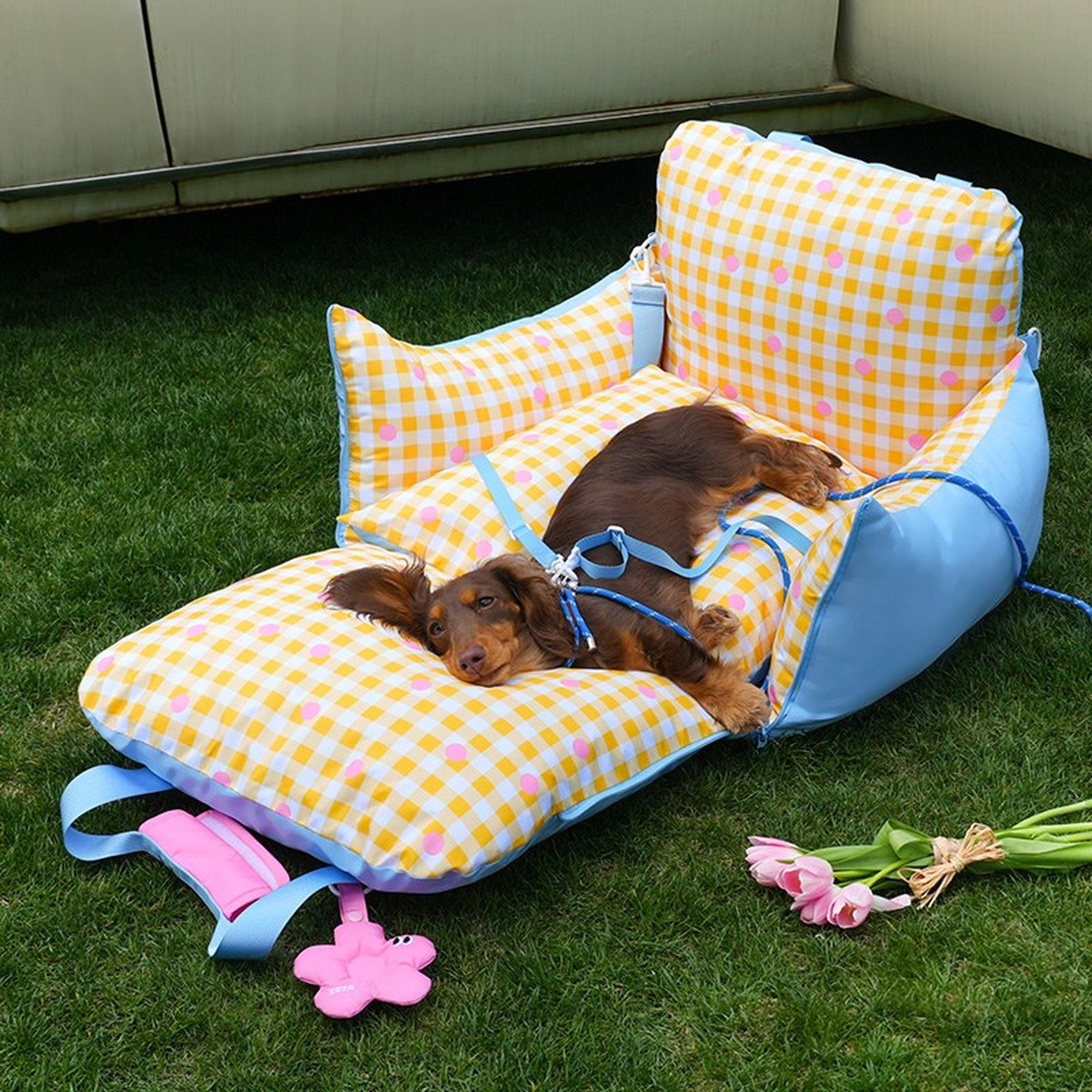 Car seat bed unfolded flat on a lawn with a sleeping dog