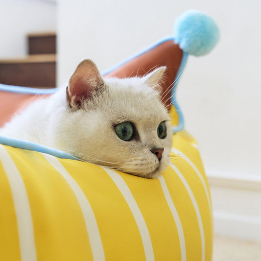 Cat resting its chin on the padded striped bolster