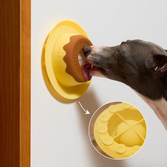 Pudding lick bowl stuck to a wall with suction cups