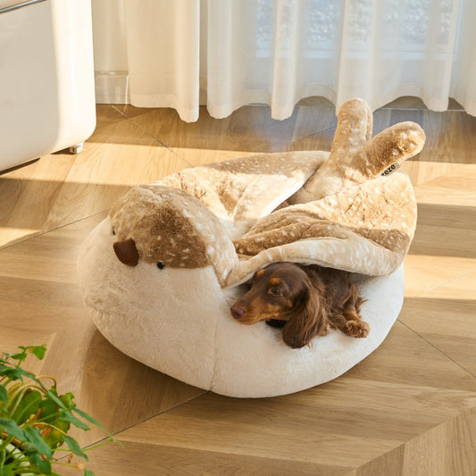 Dog tucked under the wing blanket of the sparrow bed