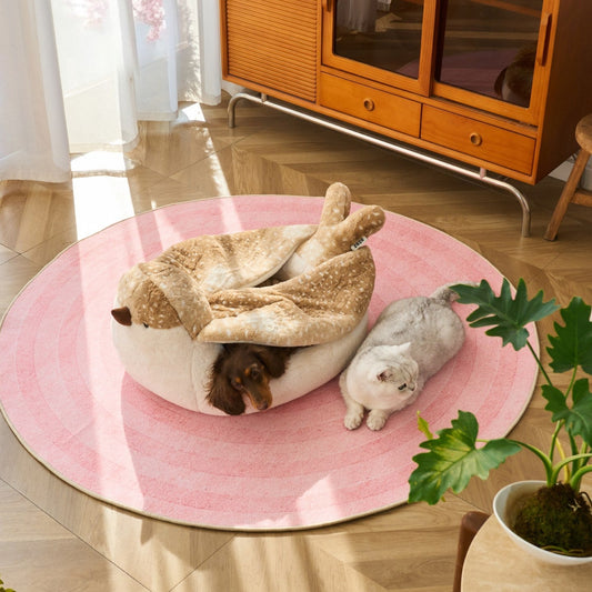 Dog and cat with the sparrow bed on a pink rug