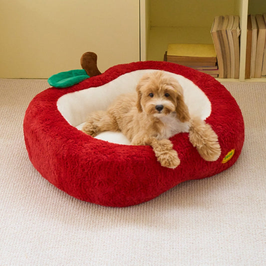 Cavapoo lounging in the ZEZE Red Apple Tart pet bed