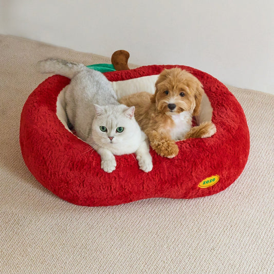 Cat and dog sharing the ZEZE Red Apple Tart bed