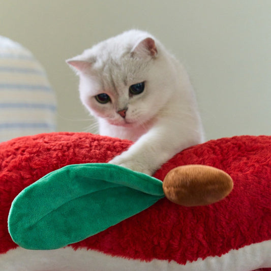 Cat pawing the plush leaf of the apple bed