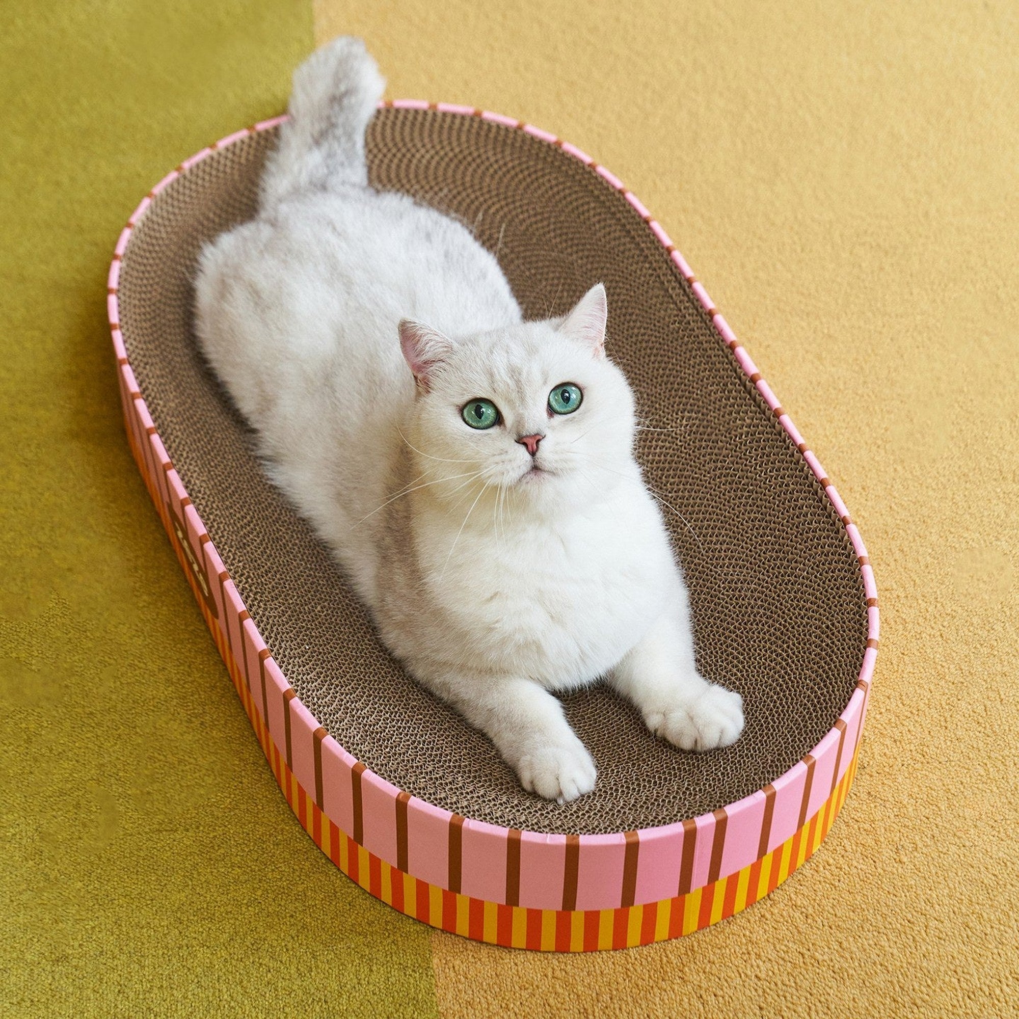 Cat lying in the oval scratcher, top view