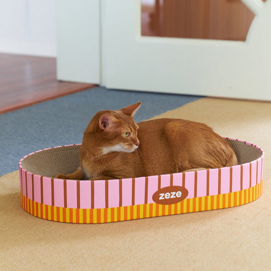 Ginger cat curled inside the oval scratcher lounge