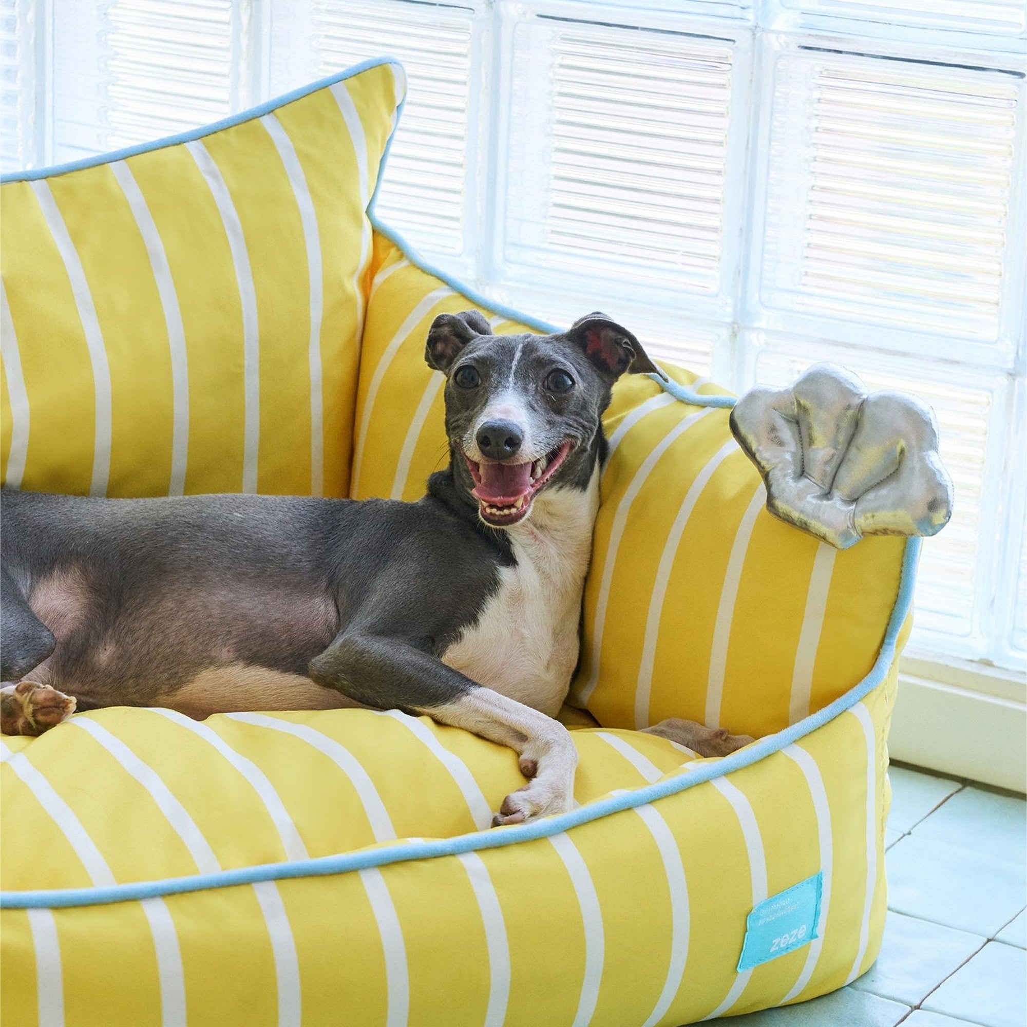 Whippet lounging on the ZEZE Seashell Pet Sofa by a glass-block window