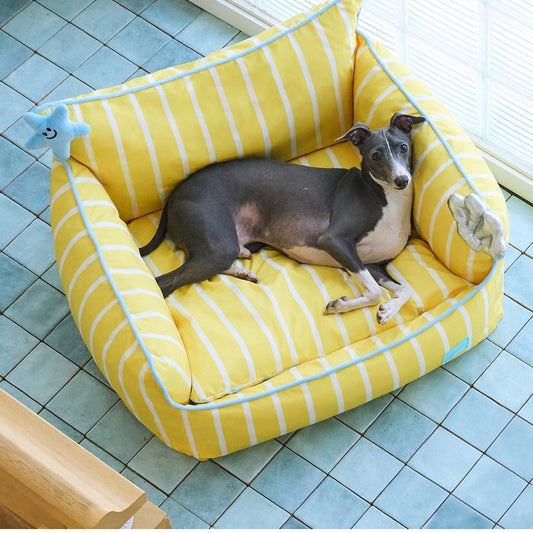 Whippet resting in the seashell pet sofa on a blue tile floor