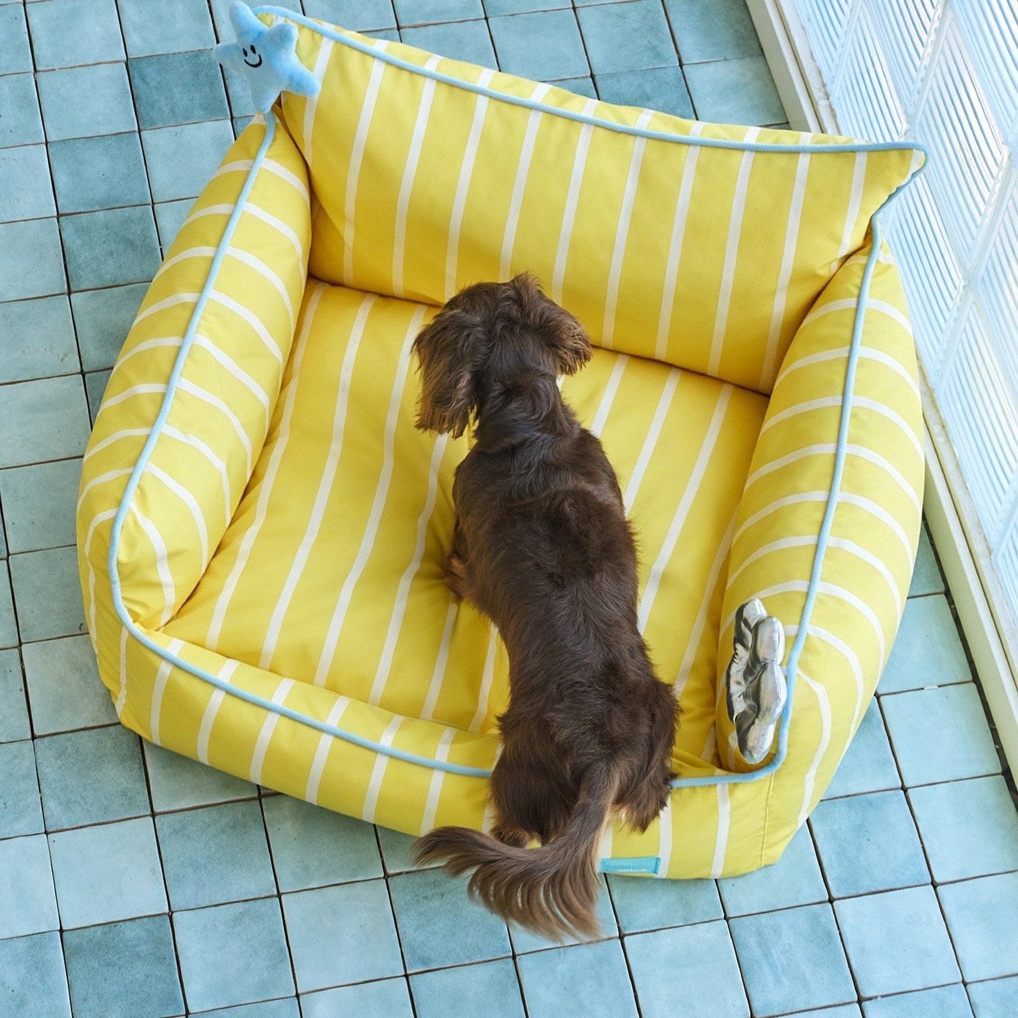 Dachshund settling into the seashell pet sofa, top view
