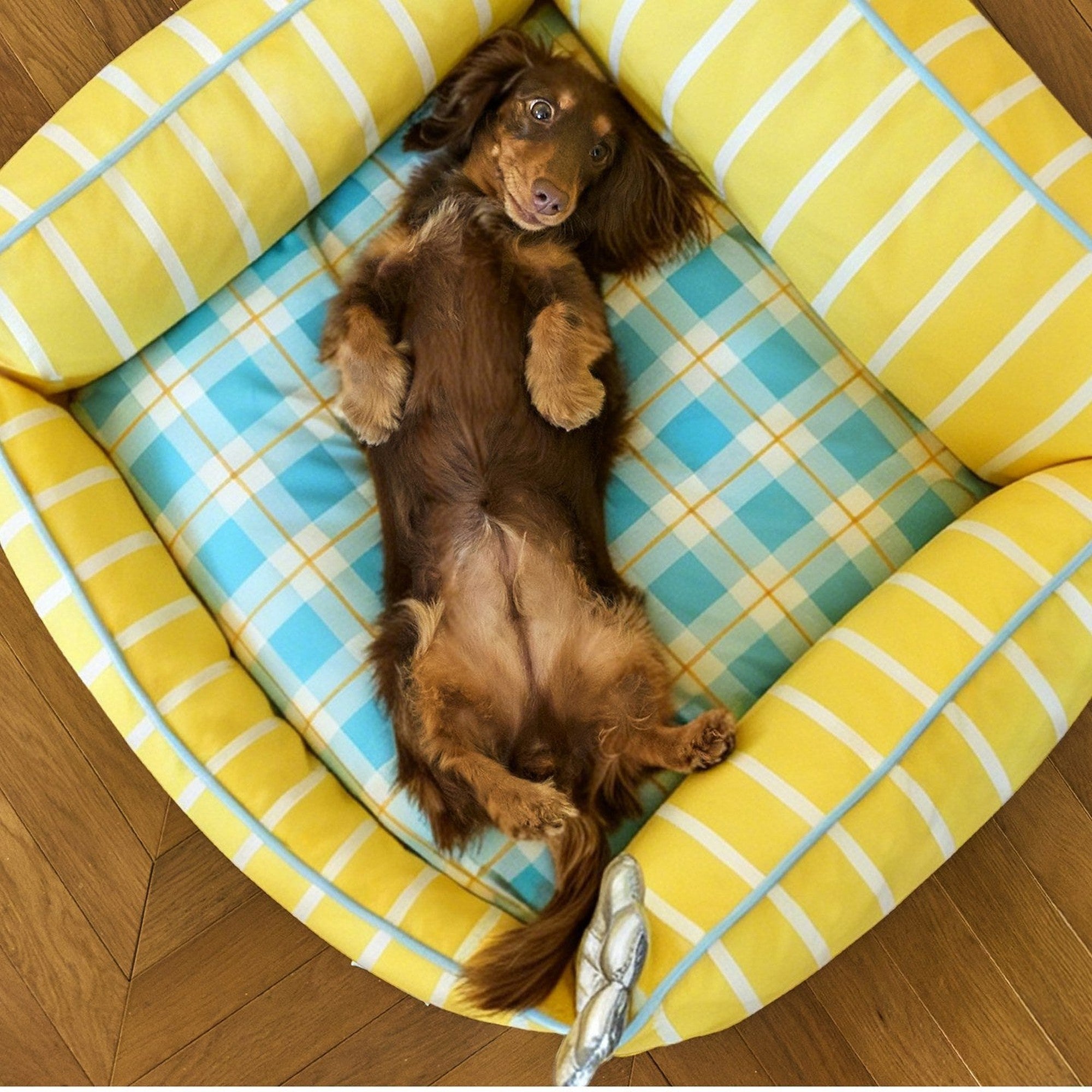 Dog stretched out belly-up on the plaid cushion, top view