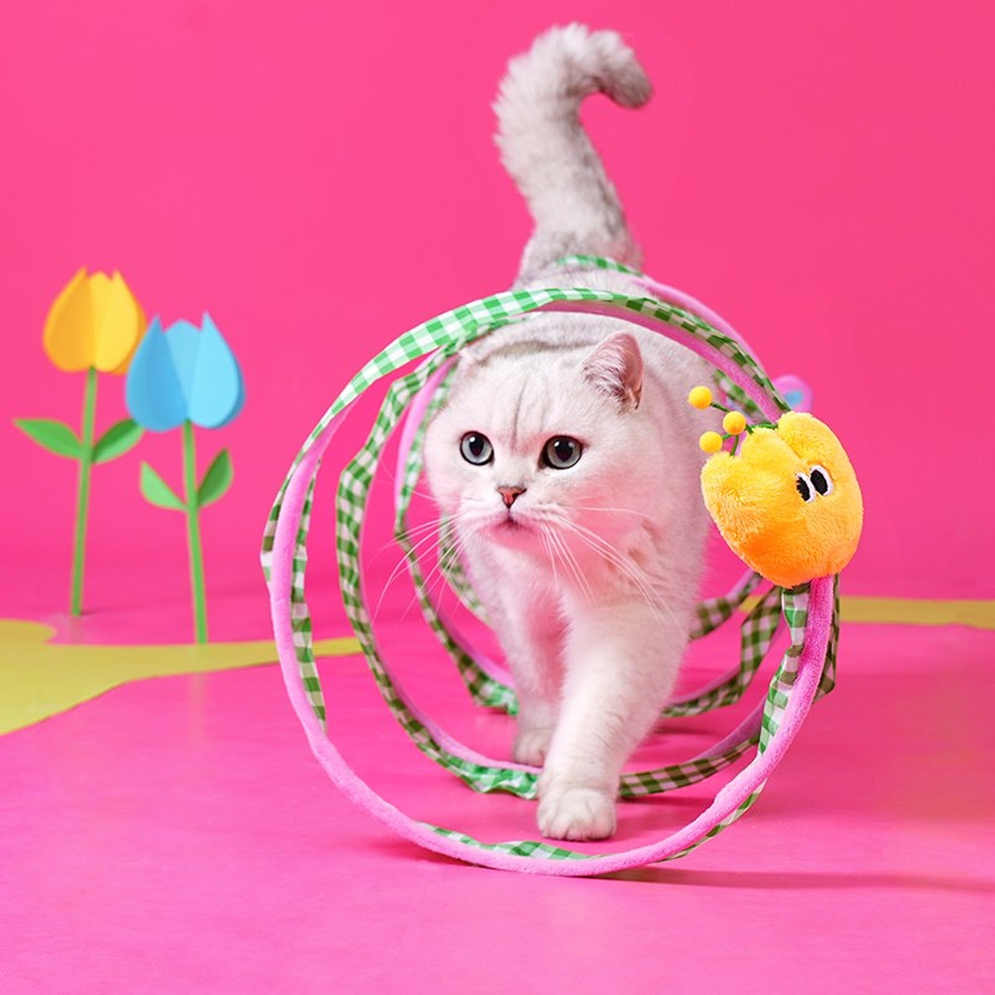 White cat walking through the ZEZE Springtime Blossom spiral cat tunnel