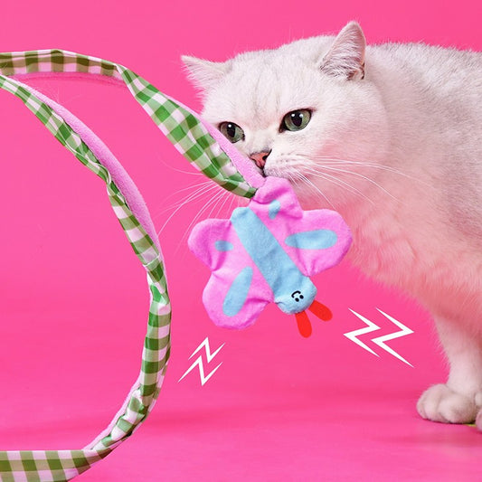 Cat nibbling the butterfly charm on the spiral tunnel